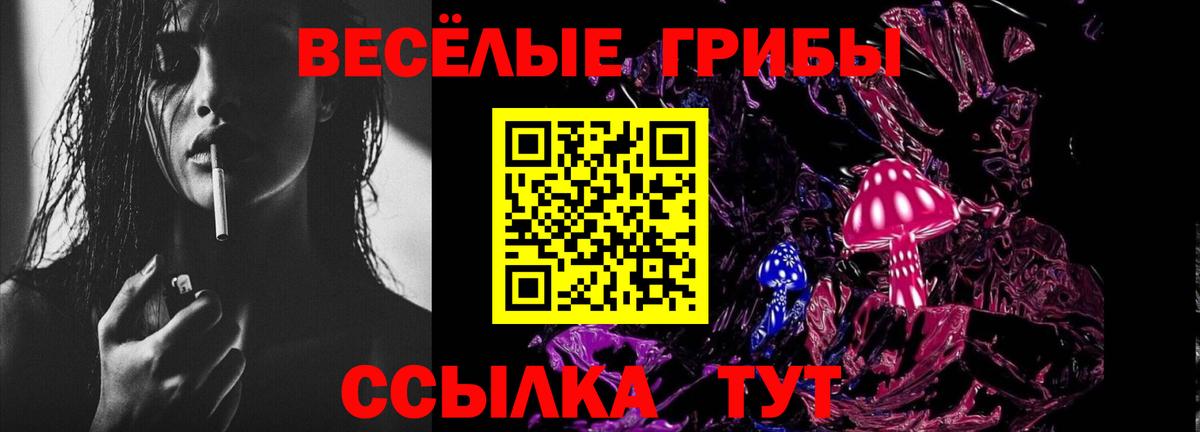 Галлюциногенные грибы Psilocybe  Вход с VPN  Краснокаменск 